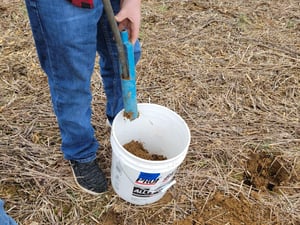 soil samples